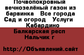 Почвопокровный, вечнозелёный газон из барвинка - Все города Сад и огород » Услуги   . Кабардино-Балкарская респ.,Нальчик г.